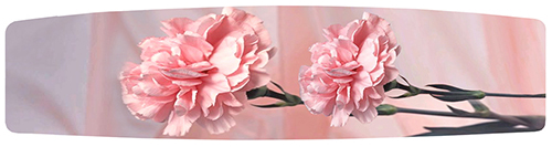 DMHAM L 022 PK Carnations 3